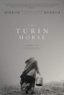 دانلود فیلم The Turin Horse 201110493-18810991