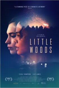 دانلود فیلم Little Woods 201822292-1962313133