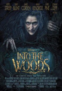 دانلود فیلم Into the Woods 20143675-1547068386