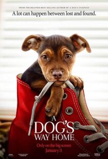 دانلود فیلم A Dog’s Way Home 20198110-195914761