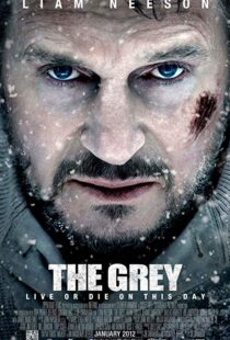 دانلود فیلم The Grey 201121742-1994522100