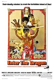 دانلود فیلم Enter the Dragon 19736833-1437886080