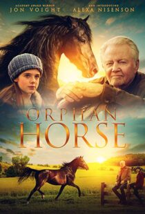 دانلود فیلم Orphan Horse 20188125-1635842007