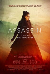 دانلود فیلم The Assassin 201513760-45642033