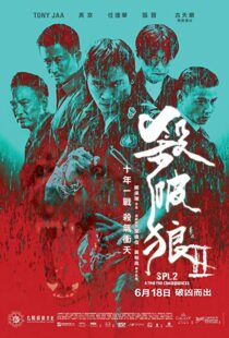دانلود فیلم Kill Zone 2 20151845-26951794