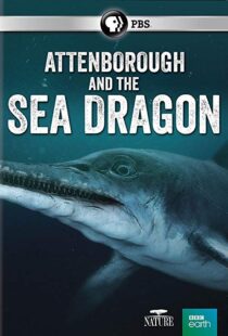 دانلود مستند Attenborough and the Sea Dragon 20188753-2067670711