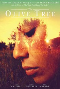 دانلود فیلم The Olive Tree 201615934-489854898