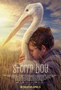 دانلود فیلم Storm Boy 20199003-1350001801