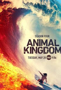 دانلود سریال Animal Kingdom18326-1272698478