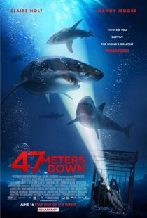 دانلود فیلم 47 Meters Down 20177231-794925919