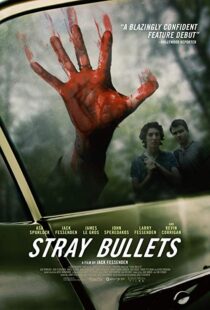 دانلود فیلم Stray Bullets 20169530-1626782221