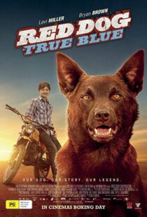 دانلود فیلم Red Dog: True Blue 20168899-331675969