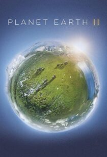 دانلود مستند Planet Earth II58204-855517447