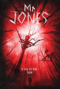 دانلود فیلم Mr. Jones 201337611-1675692243