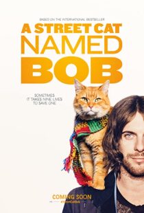 دانلود فیلم A Street Cat Named Bob 201641621-2047485400