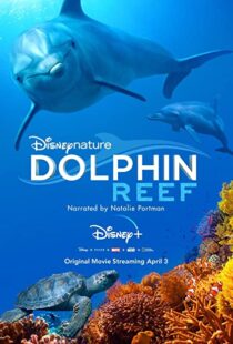دانلود مستند Dolphin Reef 201838724-2030075922