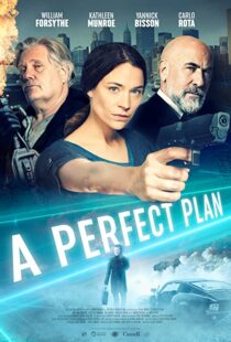 دانلود فیلم A Perfect Plan 202043957-688426940