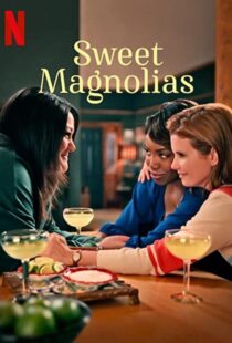 دانلود سریال Sweet Magnolias47511-1442915206