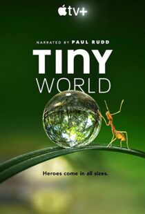 دانلود مستند Tiny World52124-2098645379