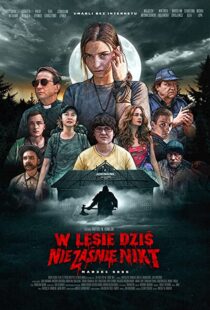 دانلود فیلم Nobody Sleeps in the Woods Tonight 202053095-1381733552