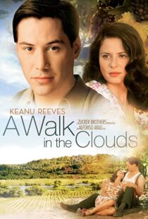 دانلود فیلم A Walk in the Clouds 199553815-1058129197