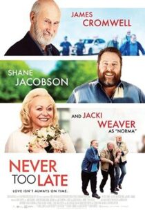 دانلود فیلم Never Too Late 202055190-1830721408