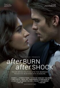 دانلود فیلم Afterburn/Aftershock 201777302-256215288