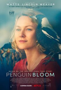 دانلود فیلم Penguin Bloom 202073302-2008400488