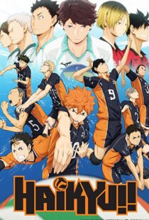 دانلود انیمه Haikyu!!80601-801863721