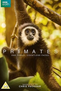 دانلود مستند Primates77865-619262594