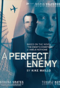 دانلود فیلم A Perfect Enemy 202082295-1237057902