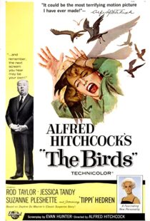 دانلود فیلم The Birds 196382372-1435420211