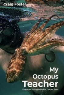 دانلود مستند My Octopus Teacher 202082343-2026924208
