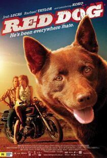 دانلود فیلم Red Dog 201187414-694298645