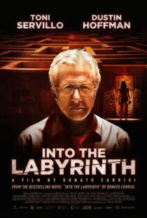 دانلود فیلم Into the Labyrinth 201991141-2109031645