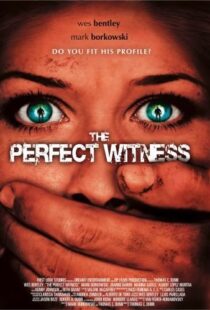 دانلود فیلم The Perfect Witness 200796937-1866857706