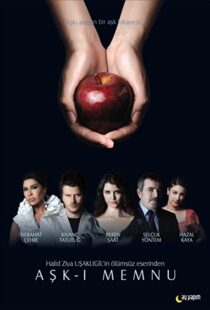 دانلود سریال Forbidden Love94309-2041993888