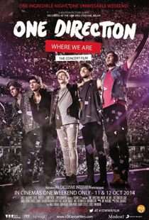 دانلود مستند One Direction: Where We Are – The Concert Film 2014100436-617706641