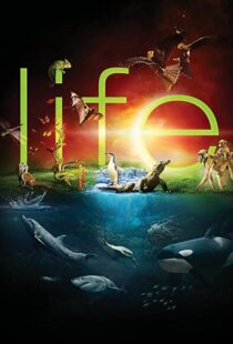 دانلود مستند Life96080-232395087