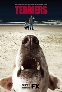 دانلود سریال Terriers100032-797264768