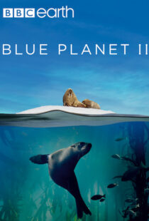 دانلود مستند Blue Planet II100194-637514944
