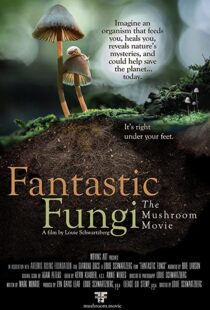 دانلود مستند Fantastic Fungi 2019100518-512004926