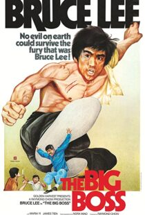 دانلود فیلم The Big Boss 197197560-537113162
