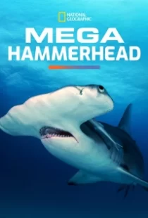 دانلود مستند Mega Hammerhead 2016103122-45343165