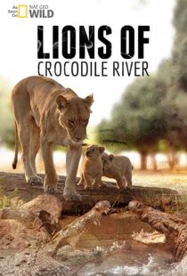 دانلود مستند Lions of Crocodile River 2007103328-197397260