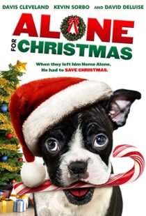 دانلود فیلم Alone for Christmas 2013107883-722130594