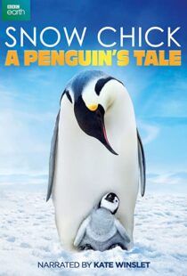 دانلود مستند Snow Chick: A Penguin’s Tale 2015109604-293668367