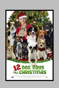 دانلود فیلم 12 Dog Days Till Christmas 2014100712-1512303977