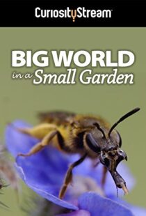 دانلود مستند Big World in a Small Garden 2016102965-57019847