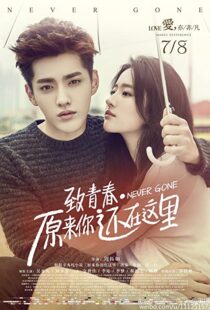 دانلود فیلم Never Gone 2016110283-337394833